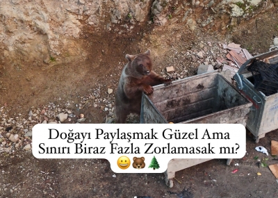 Doğayı paylaşmak güzel ama sınırı biraz fazla zorlamasak mı? 
